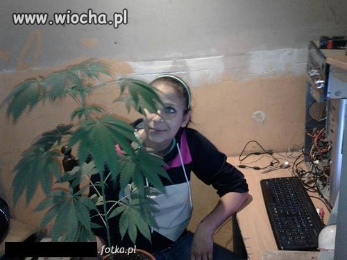 No i sobie wyhodowała