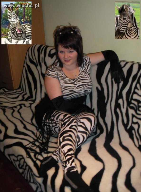 Zebra 