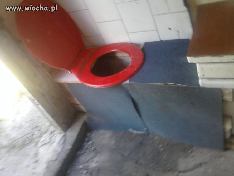 a jednak polak potrafi