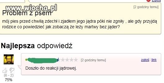 Problemy z psem
