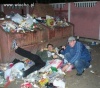 Takie tam w śmieciach