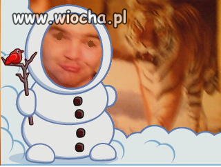 Jestem bałwan