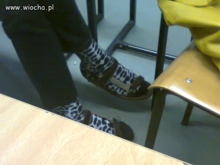 Skarpetki w krowę + sandały