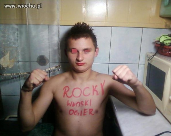 Rocky polski ogier 