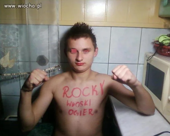 Rocky polski ogier 