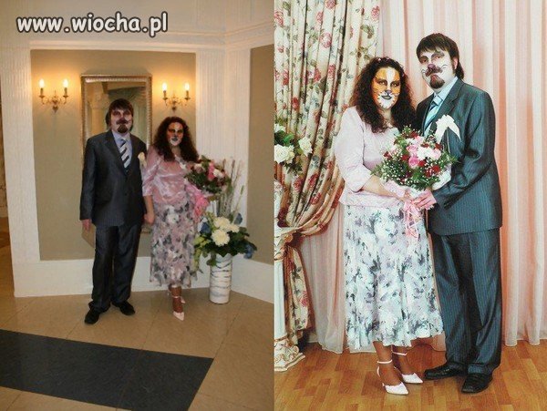 Kocie Mordki ... symbol udanego związku.