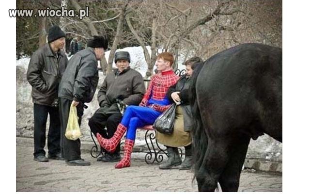 Co łączy czworo staruszków, koński zad i spidermana?