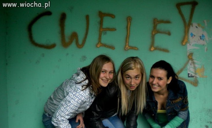Get Cwel 