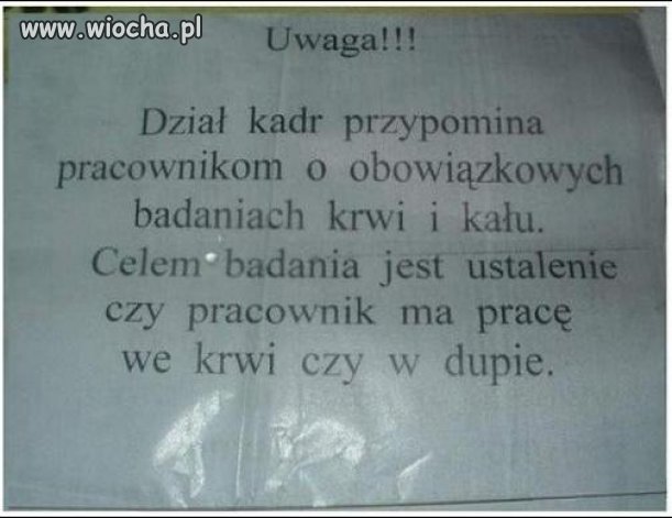 A Ty gdzie masz pracę??