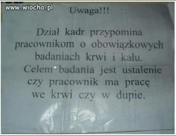 A Ty gdzie masz pracę??