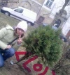 Takie tam z drzewkiem 