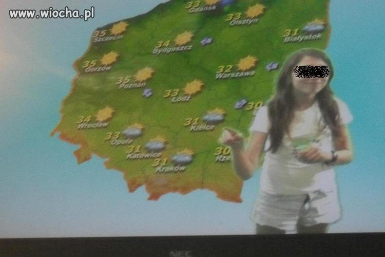 Pogodynka