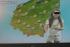 Pogodynka