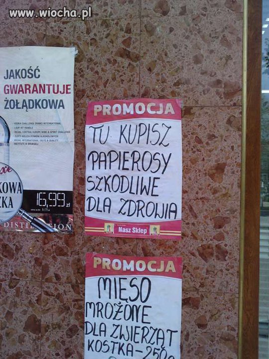 Specjaliści od
