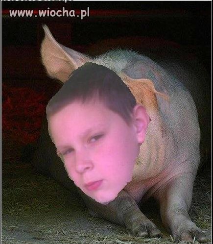 NA ZDJĘCIU TAKI BRZYDKI