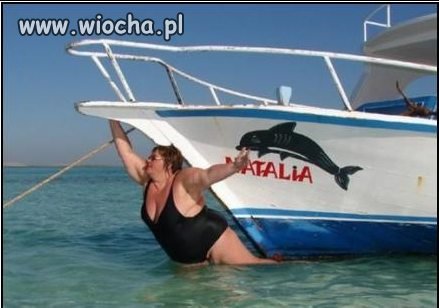 Aaa jestem niczym delfin