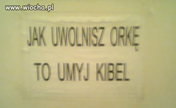 Takie tam w kibelku