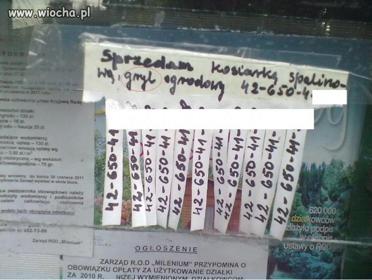 Nasi działkowcy :)