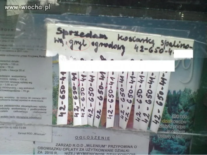 Nasi działkowcy :)