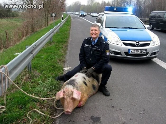 Przestępców brak