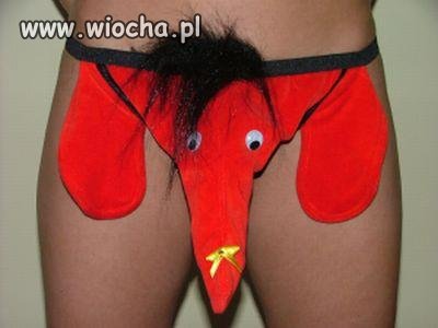 Poprostu czerwony... SŁOŃ