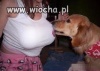 No co chciał posmakować mleczka...