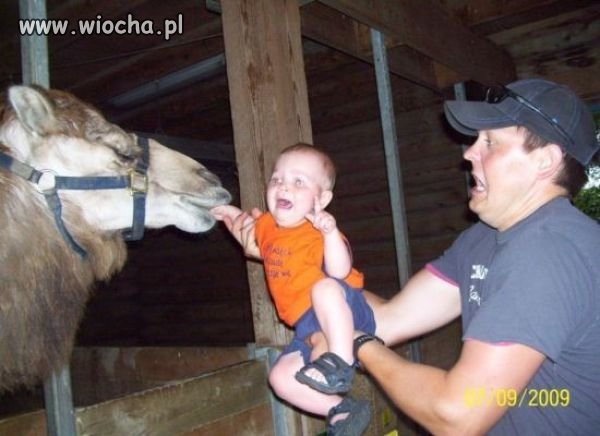 Kochany ojciec?