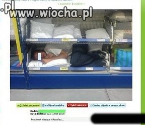 Pracownik miesiąca