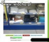 Pracownik miesiąca