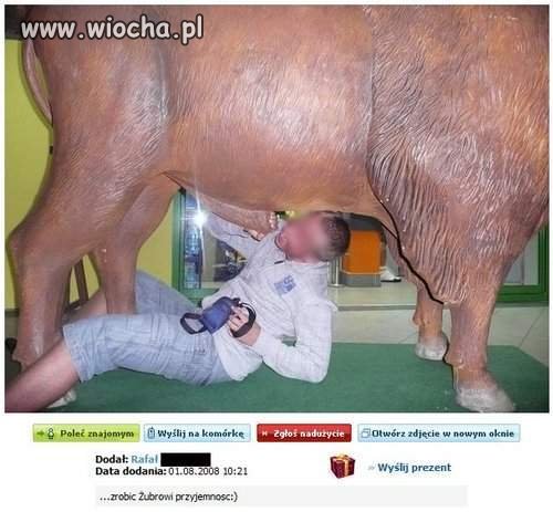 Po prostu WIOCHA !