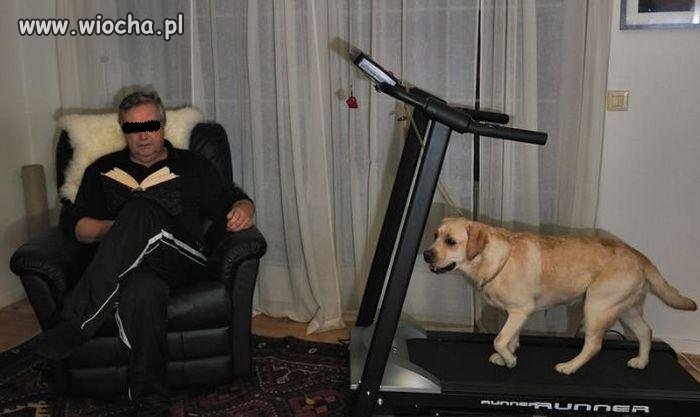 Spacer z pieskiem