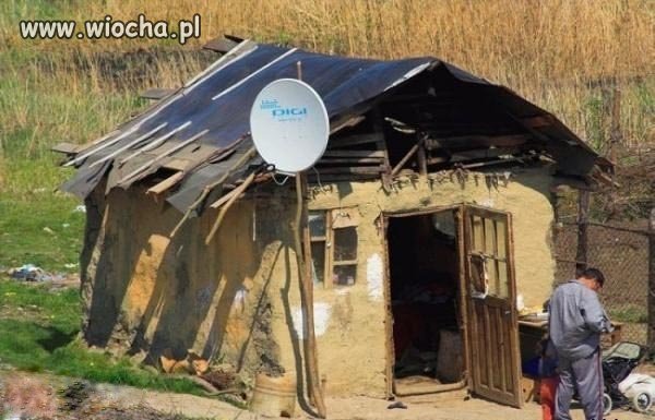 Telewizja musi być 
