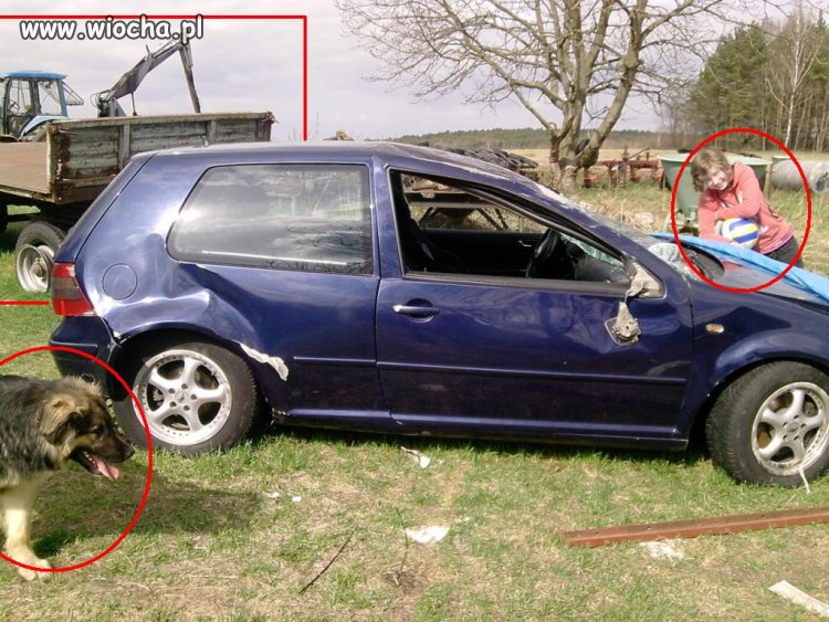 Aukcja allegro..