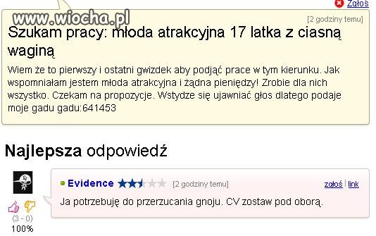 Dobra oferta pracy 