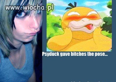 Kacza morda. Pokemon