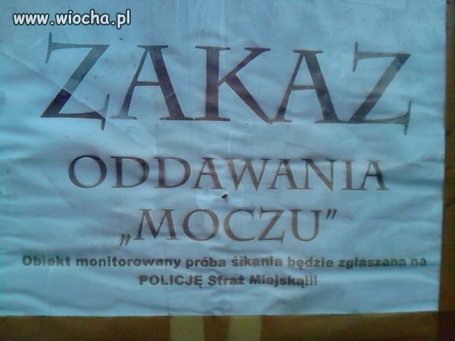 Ludzie to są udani 