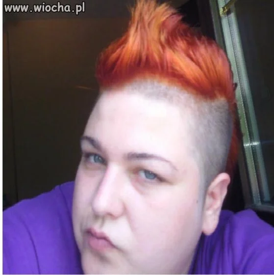 Kogut ...