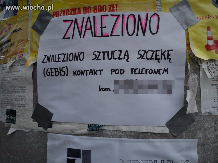 Znaleziono sztuczną szczękę [gebis] ! 