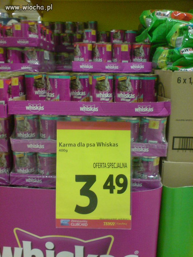Kup pan karmę dla kotopsa 
