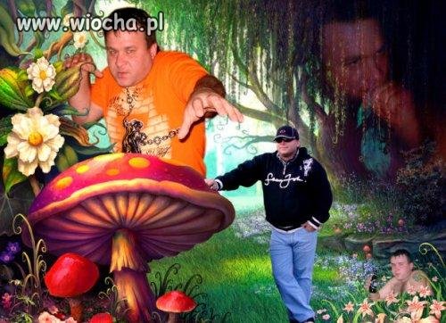 Po grzybkach chalucynkach