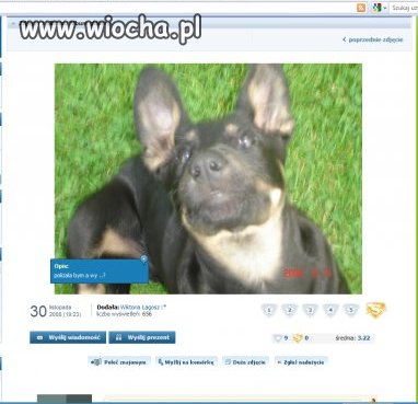 Na pinezce pisze: Wylizała bym a wy?