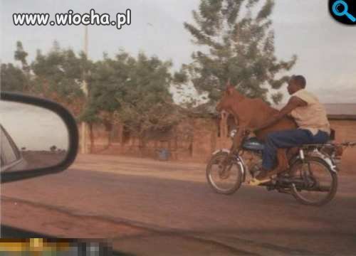Co za Ciele na motorze porywa murzyna ?!