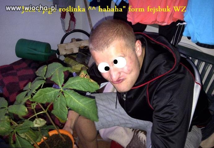 "Jaca i jego roślinka ^^"...