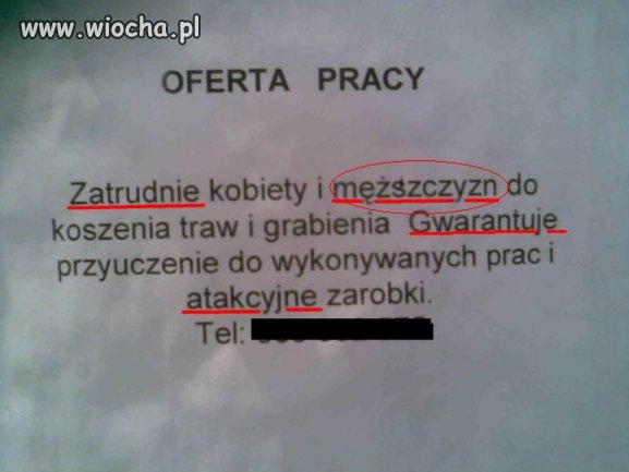 MężSZczyzn.