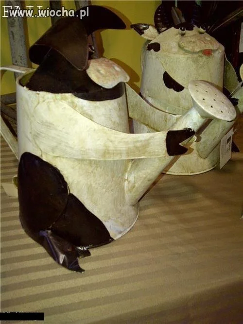 Konewka.