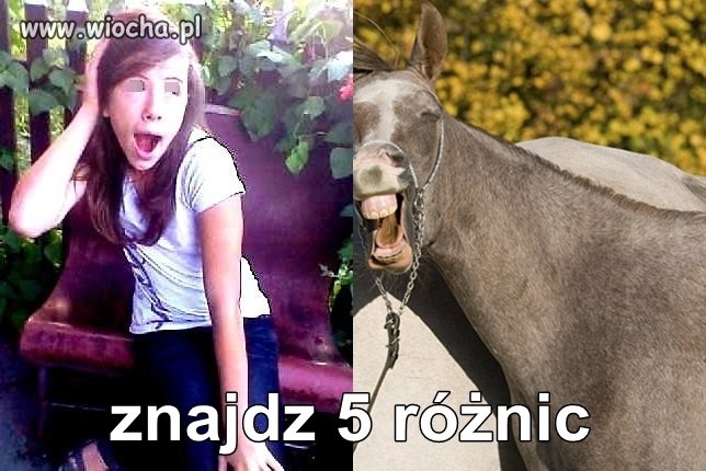 Tak jak na zdjęciu