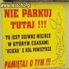 Groźny prosiaczek...