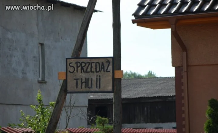 Sprzedaż "Thu ii", czyli mankamenty językowe na wsi.