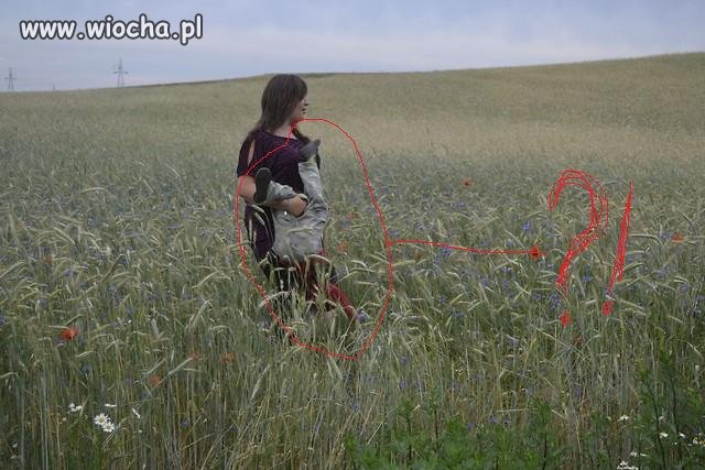 Fotka w pszenicy.