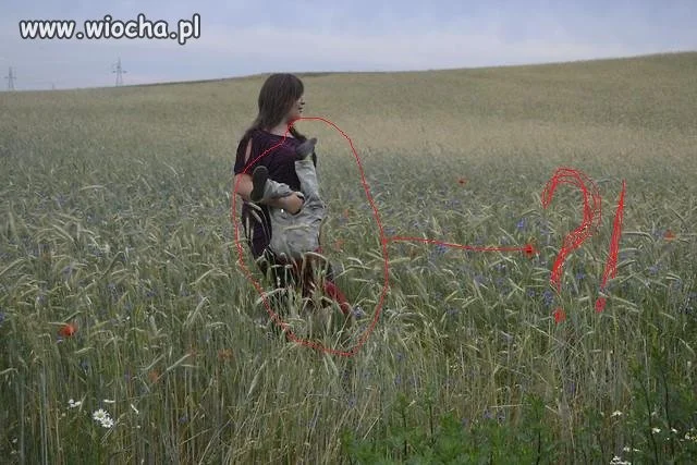 Fotka w pszenicy.